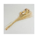 Ramo De Flores Secas Natural Mix Pampas Cola Conejo Limonium Beige