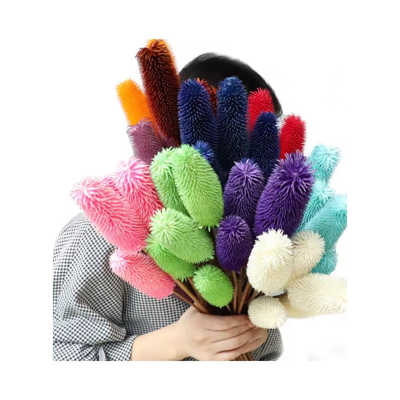 Cepillo De Botella Natural Flor Seca Banksia Dipsacus Boho