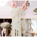 Flores Secas Blancas Aliento De Bebe Ilusiones Gypsophila Blanco