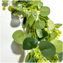 Guirnalda De Eucalipto Hojas Eucalipto Decoración Enredadera Verde