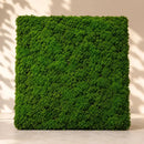 Musgo Decorativo Artificial 50x50 Cm Panel Vegetal Para Jardines Verticales Muros Verdes Decoración Interior Cuadros Vegetales Paisajismo Hogar Oficina Fácil Instalación Bajo Mantenimiento