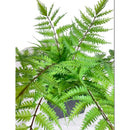 Ramo De Helecho Pluma Boston Artificial Decoración Rama Verde