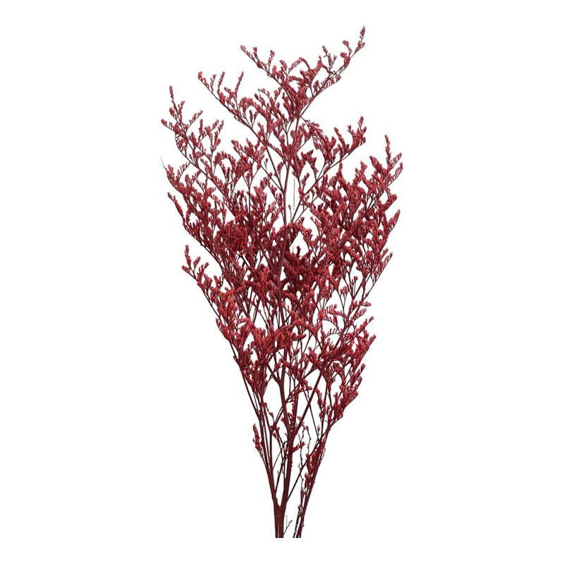 Flores Secas Limonium Natural Preservado De Color