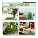 10 Pcs Bolas De Musgo Verde Rocas Artificiales Musgo Ecodeco