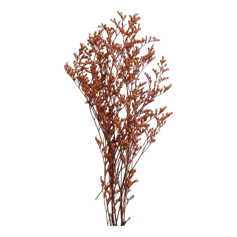 Flores Secas Limonium Natural Preservado De Color