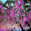 Pack De 12 Colgantes De Flores Artificiales Guirnaldas Fucsia