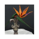 Flor De Ave Del Paraíso Artificial Flor De Pajaro Ave  Naranja