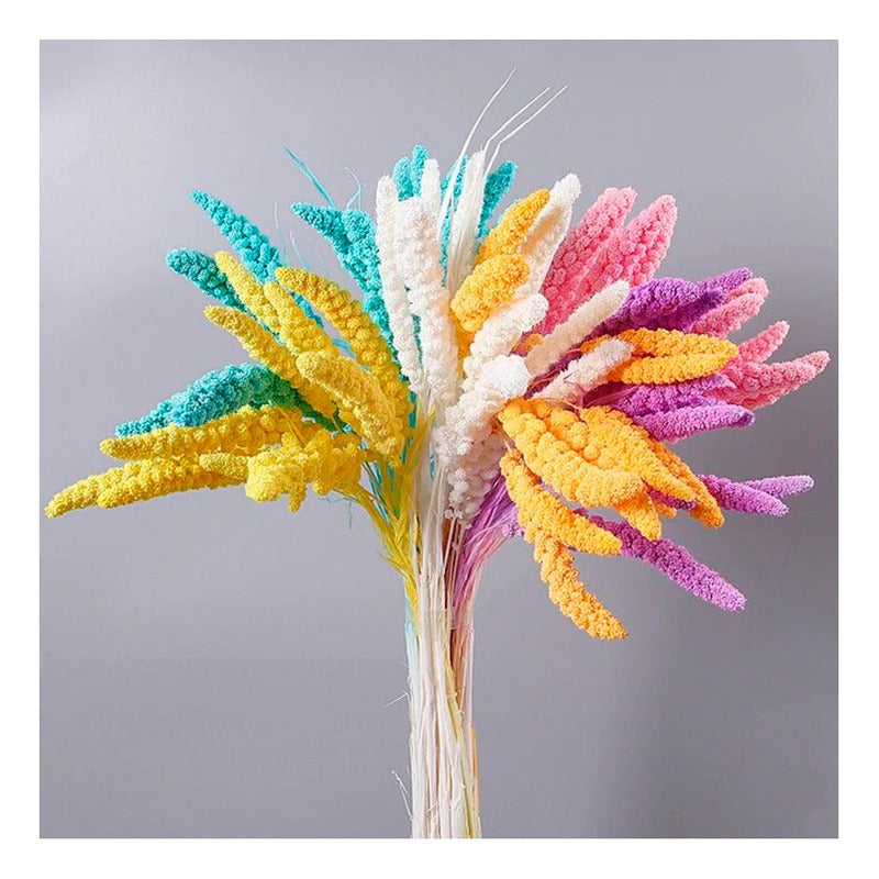 Ramas Secas Oreja De Trigo Preservada Decoración Hogar