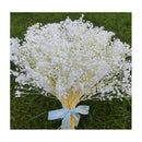 Flores Secas Aliento De Bebe Ilusiones Gypsophila Arreglos Blanco