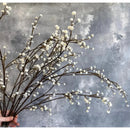 Ramas Secas Artificial Baby Breath Ilusiones Nube De Bebe Blanco