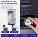 Enfriador De Aire Theck 45l 220w Con Control Remoto Blanco