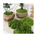 Pack 5 Musgo Artesanal Falso Musgo Verde, Artificial Plantas