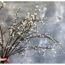 Ramas Secas Artificial Baby Breath Ilusiones Nube De Bebe Blanco