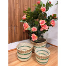 Pack De 3 Canastos De Mimbre Cesta Macetero Decorativo Beige