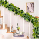 Guirnalda De Eucalipto Hojas Eucalipto Decoración Enredadera Verde