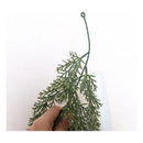 Enredadera Colgante Pino Artificial 1.80m Verde Para Decoración Interior Exterior
