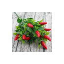 Ramas De Frutas Árbol Decoración Artificial Tallo Frondoso
