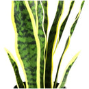 Flores Artificiales Sansevieria Lengua De Suegra Decoración Verde