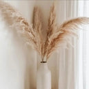 Pack 3 De Pampas Grass Vara Ramas Grande Decoración Beige