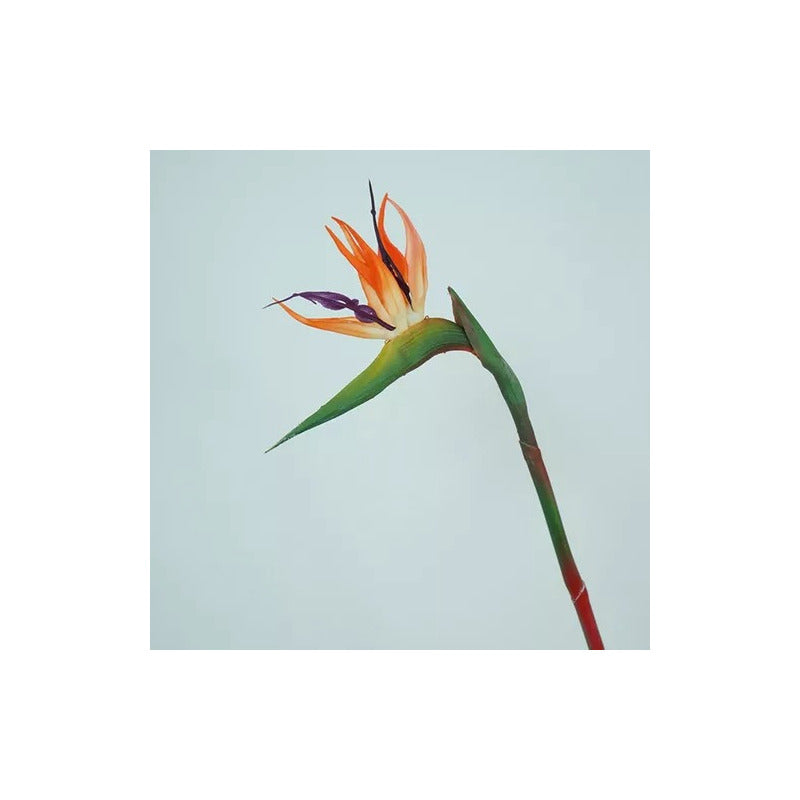 Flor De Ave Del Paraíso Artificial Flor De Pajaro Ave
