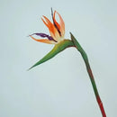 Flor De Ave Del Paraíso Artificial Flor De Pajaro Ave Verde
