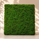 Musgo Decorativo Natural 1x1m Panel Vegetal Para Jardines Verticales Muros Verdes Decoración Interior Cuadros Vegetales Paisajismo Hogar Oficina Fácil Instalación Bajo Mantenimiento