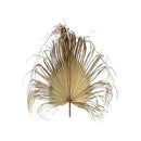Hoja De Palma Seca Flecos, Tropical Natural 1 Mt De Alto Beige