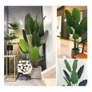 Planta Artificial De Ave Del Paraíso 21 .0 Mt Palma De Viaj Verde