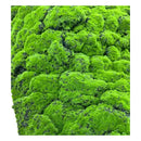 Musgo Artificial 3d Decorativo Verde Premium 1mt X 1mt Ideal Para Jardines Verticales Terrarios Paisajismo Cuadros Vegetales Decoración Interior Manualidades