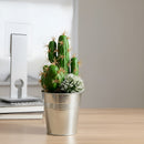 Cactus Artificial Verde Artesanal Ecodeco Decoracion Verde