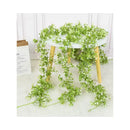 Enredaderas Ilusiones Gypsophila Paniculata 180mt Aliento Bb