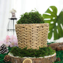 Musgo Artificial Para Manualidades Eco & Deco  100g De Decoración Versátil