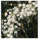 Enredaderas De Rosas Artificiales, Rosas Guirnaldas Ecodeco