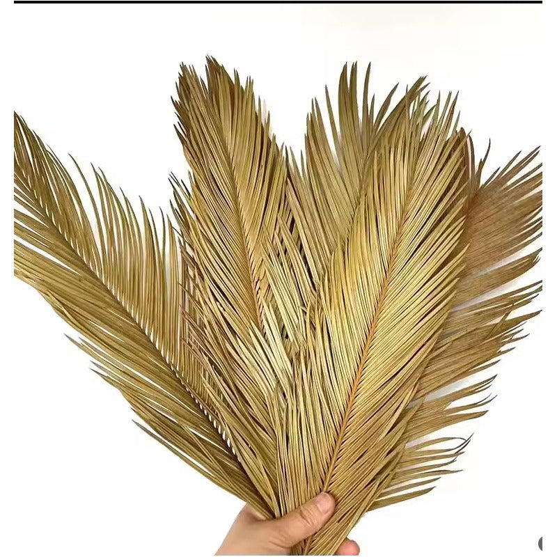 Hoja De Palma Seca, Rama De Sago Cicas Onila Hojas Fruticosa