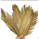Pack 4 Hoja De Palma Seca, Rama De Sago Cicas Onila Hojas Beige