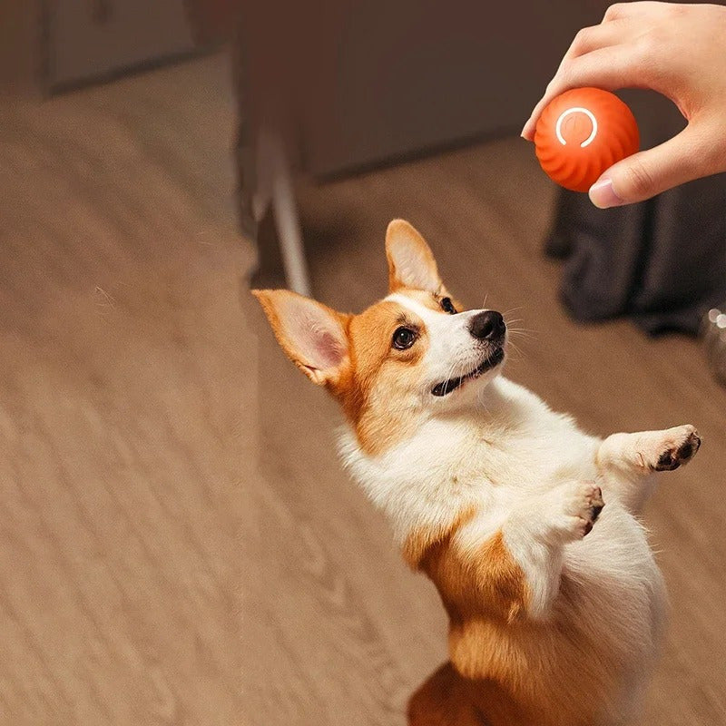 Juguete Interactivo Para Perros Q Smart, Luz Led, Pelota