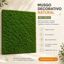 Musgo Decorativo Natural 1x1m Panel Vegetal Para Jardines Verticales Muros Verdes Decoración Interior Cuadros Vegetales Paisajismo Hogar Oficina Fácil Instalación Bajo Mantenimiento
