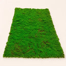 Musgo Decorativo Natural 1x1m Panel Vegetal Para Jardines Verticales Muros Verdes Decoración Interior Cuadros Vegetales Paisajismo Hogar Oficina Fácil Instalación Bajo Mantenimiento