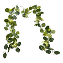 Guirnalda De Eucalipto Hojas Eucalipto Decoración Enredadera Verde