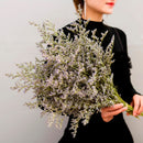 Flores Secas Ramo De Limonium Preservadas Reales Secas Grand