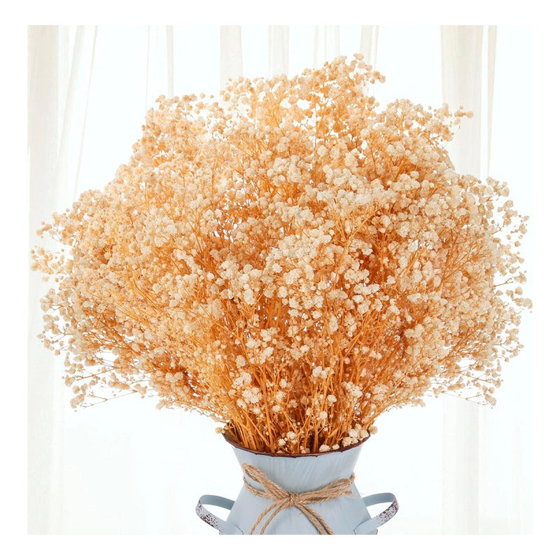 Flores Ramas Secas Natural Decorativa, Gypsophila Frondosa