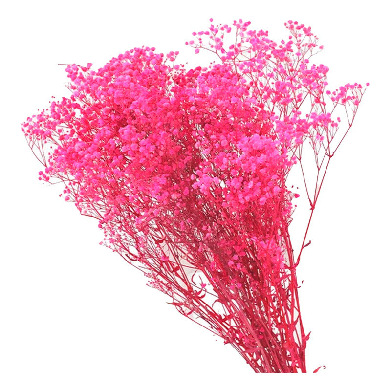 Flores Ramas Secas Natural Decorativa, Gypsophila Frondosa