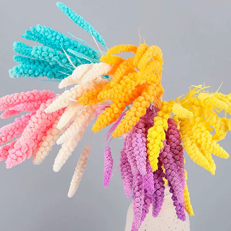 Ramas Secas Oreja De Trigo Preservada Decoración Hogar