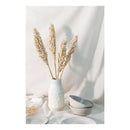 Flor De Sorgo Seca Preservada Decoración Hogar