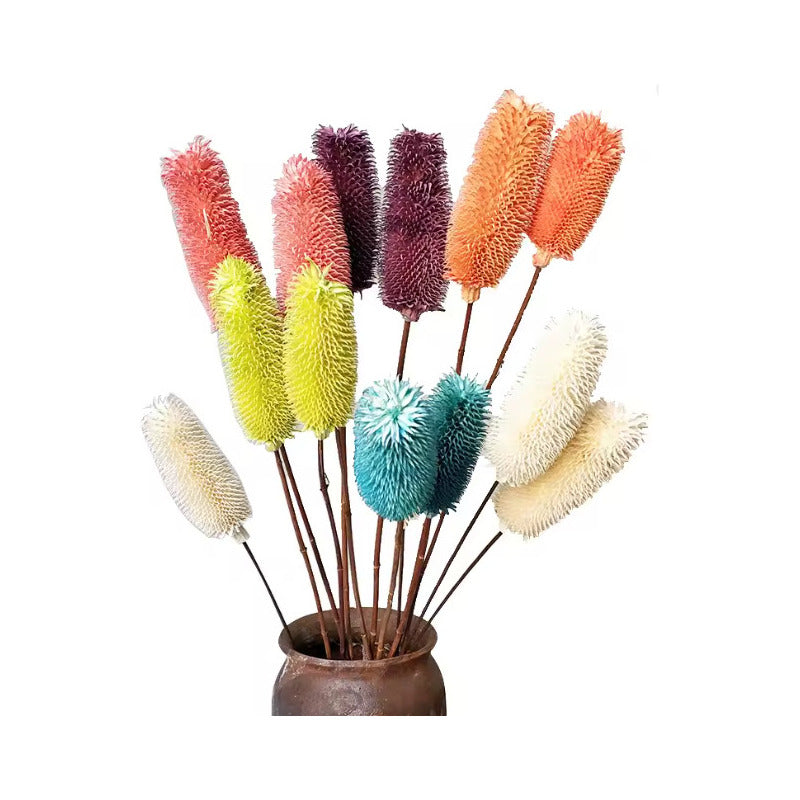 Cepillo De Botella Natural Flor Seca Banksia Dipsacus Boho