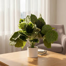 Pack 3 Ramas Surtidas Artificial Decoración Plantas Begonia Surtidas