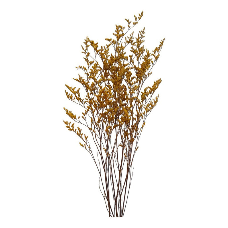 Flores Secas Limonium Natural Preservado De Color
