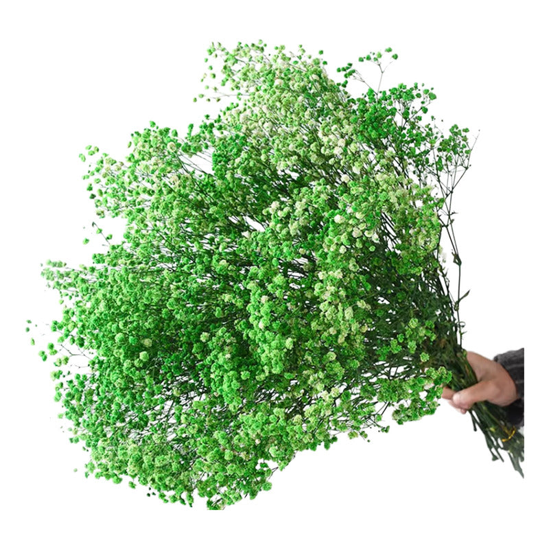 Flores Ramas Secas Natural Decorativa, Gypsophila Frondosa