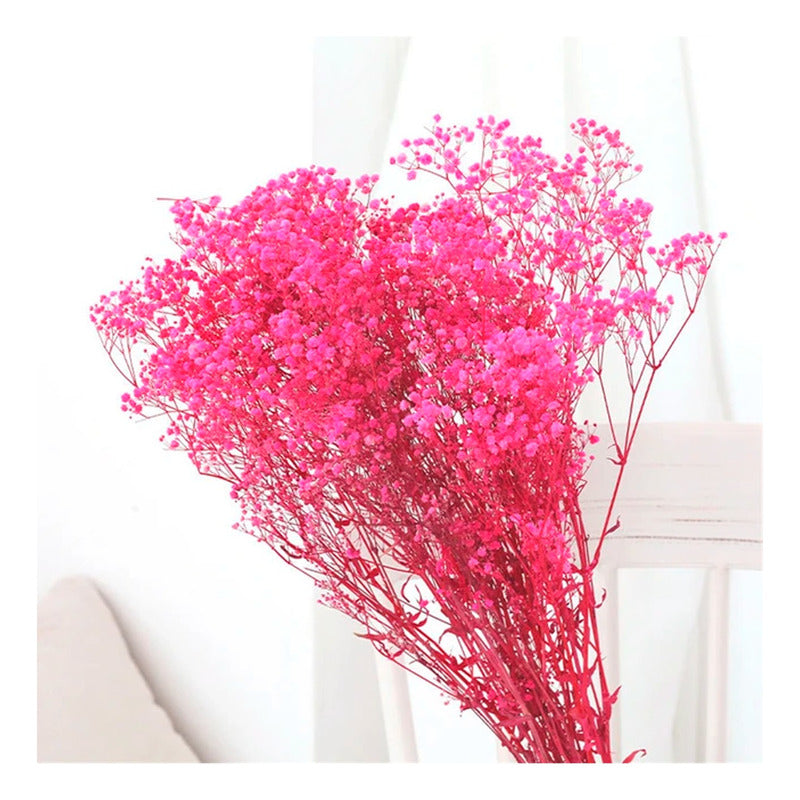 Flores Ramas Secas Natural Decorativa, Gypsophila Frondosa