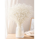 Flores Secas Blancas Aliento De Bebe Ilusiones Gypsophila Blanco